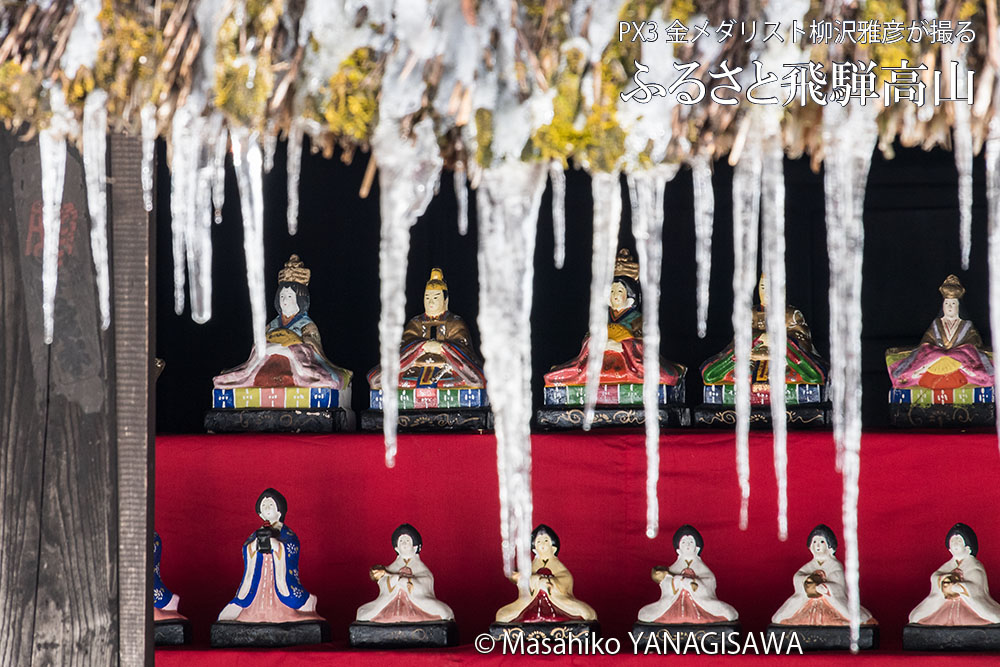 春の飛騨高山(ひな祭り)　撮影・柳沢雅彦