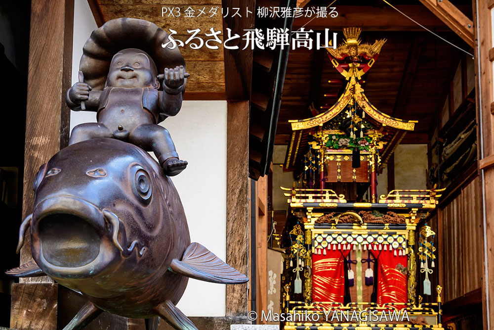 春の高山祭（山王祭）の観光写真です ／撮影 柳沢雅彦