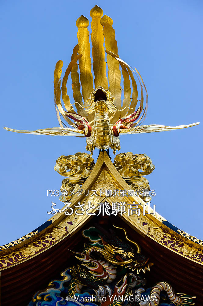 春の高山祭（山王祭）の観光写真です　撮影・柳沢雅彦