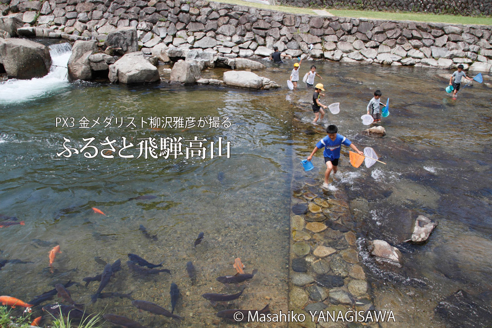 夏の飛騨高山(宮川で遊ぶ子どもたち)　撮影・柳沢雅彦