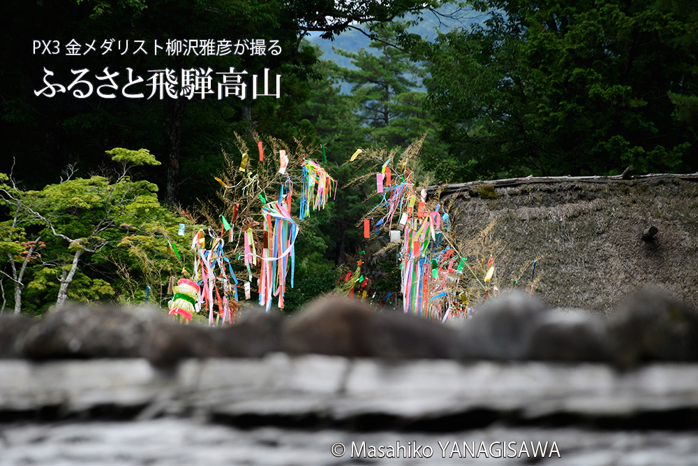 夏の飛騨高山(合掌造りの七夕飾り)　撮影・柳沢雅彦