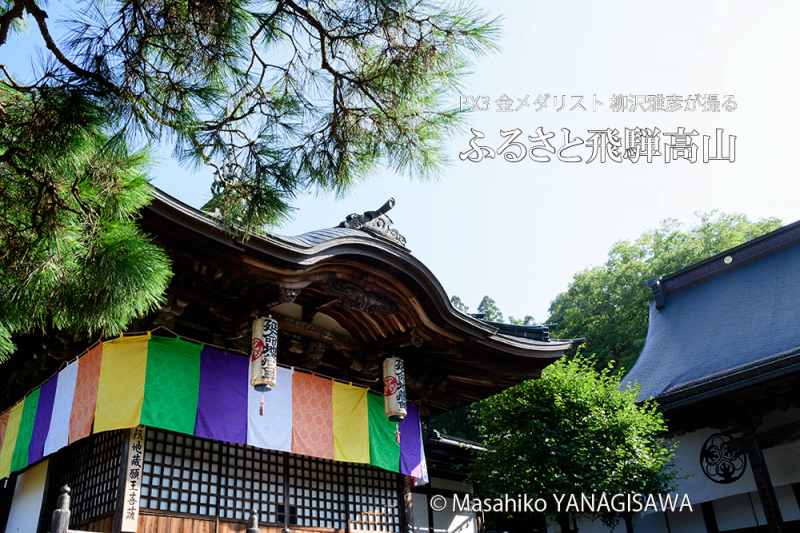 夏の飛騨高山(善応寺)　撮影・柳沢雅彦