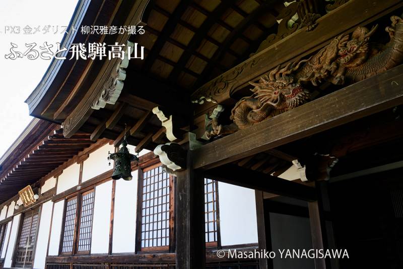 夏の飛騨高山(素玄寺)　撮影・柳沢雅彦