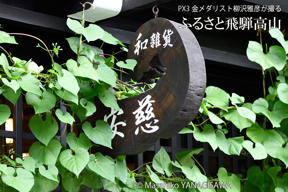 晩夏の飛騨高山(古い町並み)　撮影・柳沢雅彦