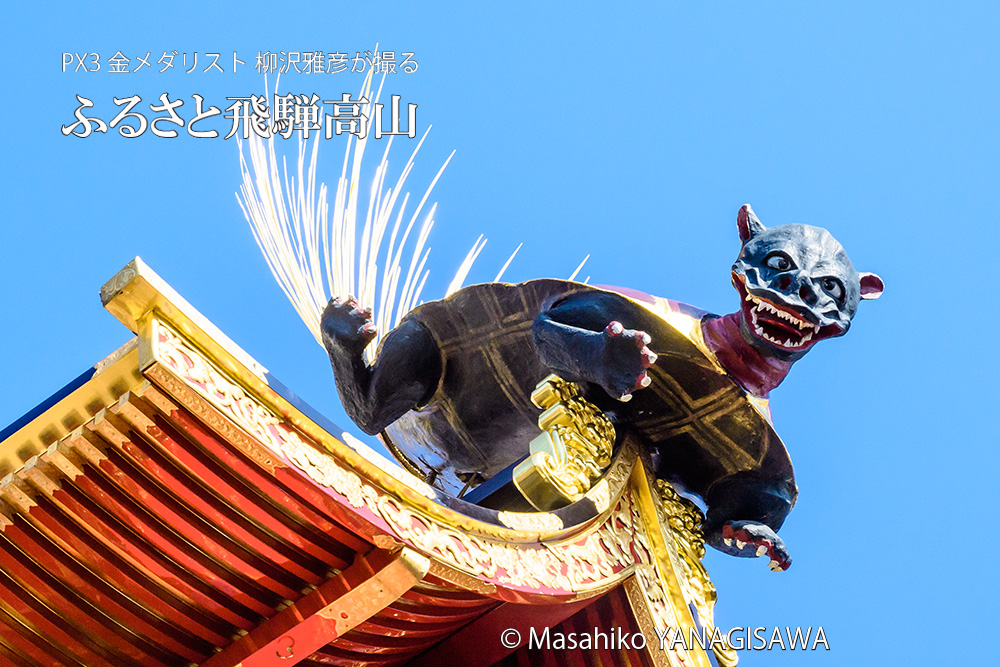 秋の高山祭（八幡祭）　撮影・柳沢雅彦