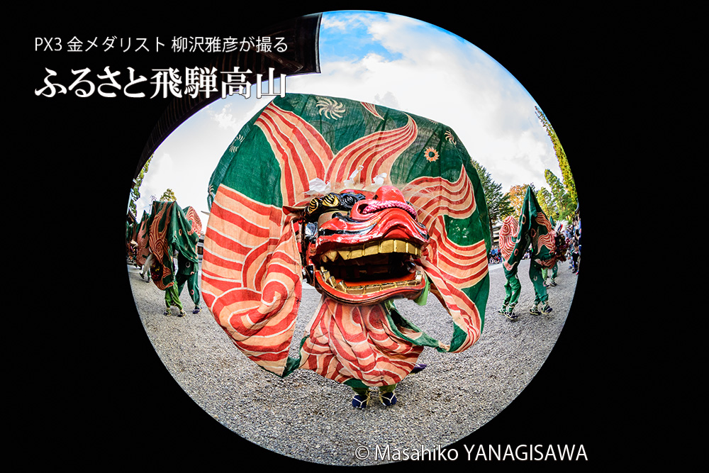 秋の高山祭（八幡祭）　撮影・柳沢雅彦