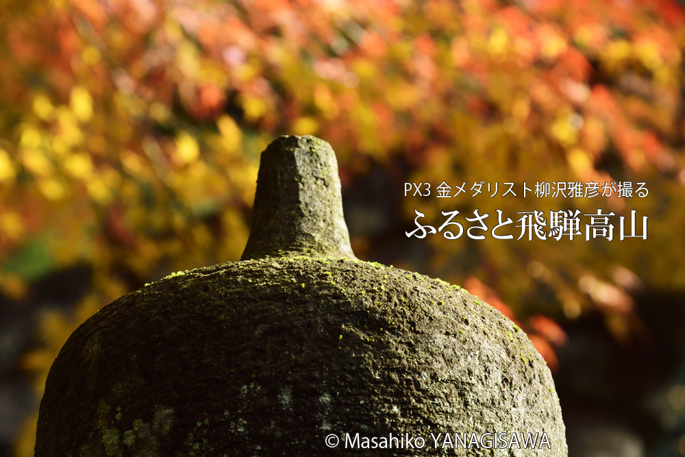 飛騨高山の紅葉　撮影・柳沢雅彦