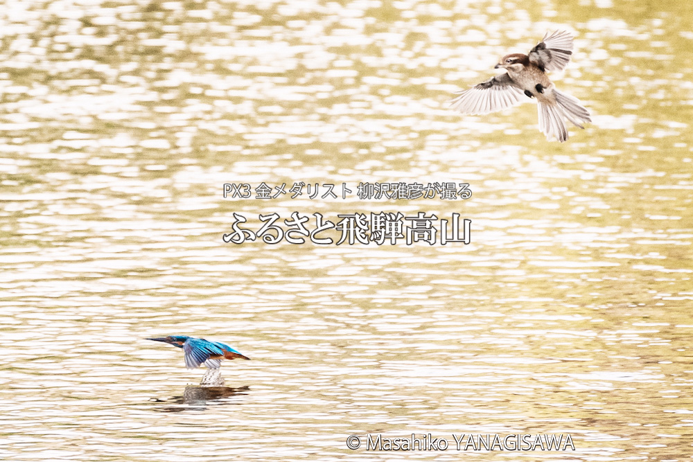 秋の飛騨高山の写真です－撮影 柳沢雅彦