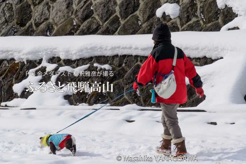 飛騨高山の雪景色　撮影・柳沢雅彦