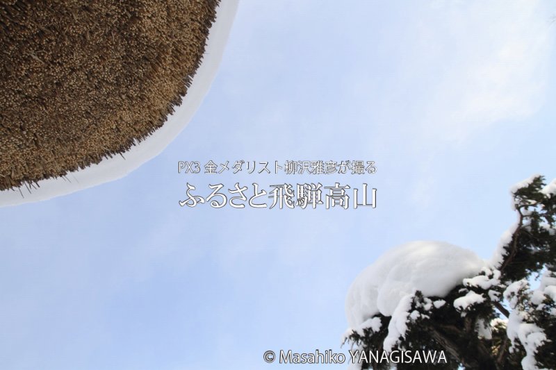 飛騨高山の雪景色(合掌造り)　撮影・柳沢雅彦