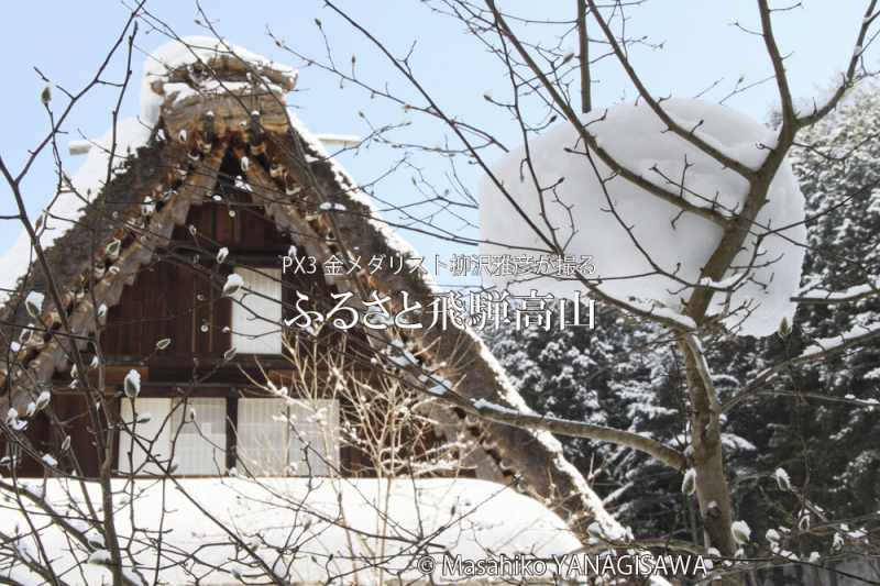 飛騨高山の雪景色(合掌造り)　撮影・柳沢雅彦