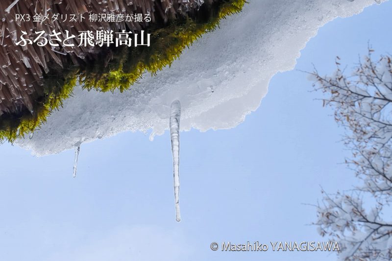 飛騨高山の雪景色(合掌造り)　撮影・柳沢雅彦