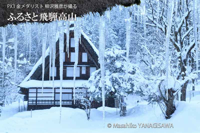 飛騨高山の雪景色(合掌造り)　撮影・柳沢雅彦