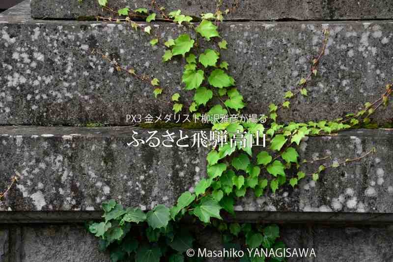 夏の飛騨高山(中橋周辺)　撮影・柳沢雅彦