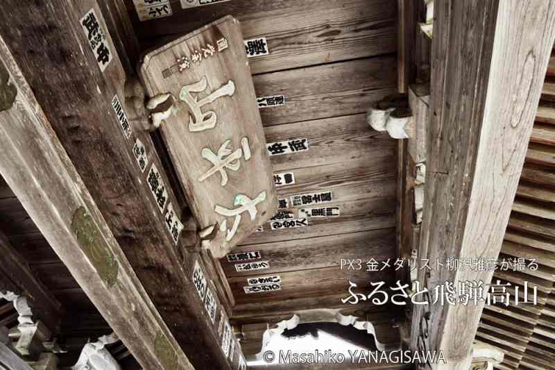 夏の飛騨高山(安国寺)　撮影・柳沢雅彦