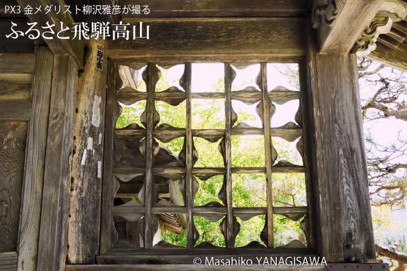 夏の飛騨高山(安国寺)　撮影・柳沢雅彦