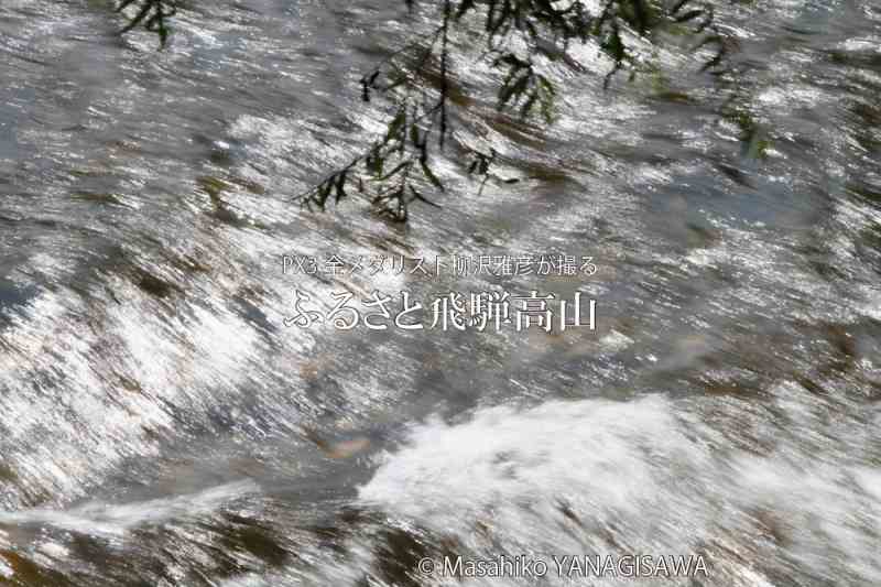 夏の飛騨高山(中橋周辺)　撮影・柳沢雅彦