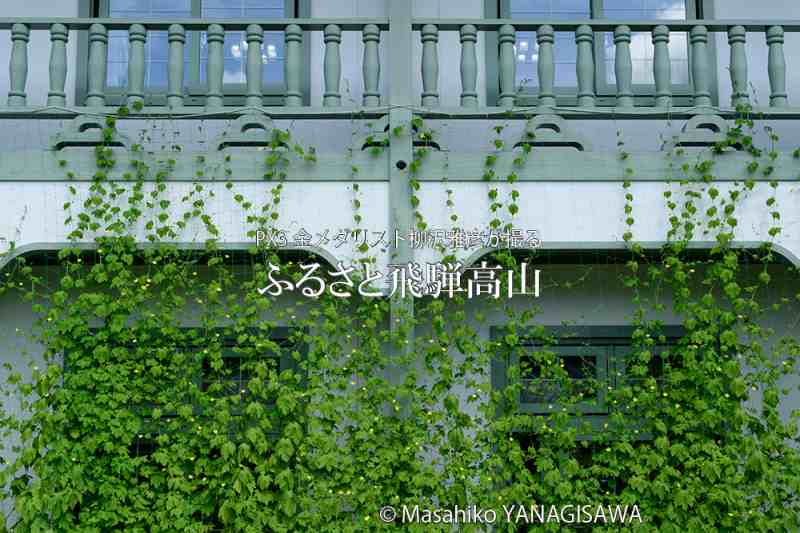 夏の飛騨高山(高山市図書館「煥章館」)　撮影・柳沢雅彦