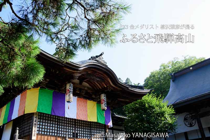 夏の飛騨高山(善応寺)　撮影・柳沢雅彦