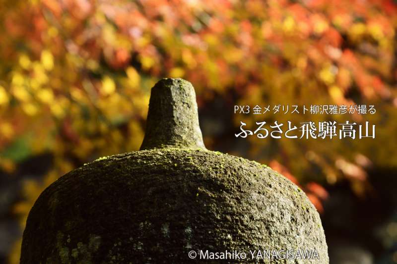 飛騨高山の紅葉　撮影・柳沢雅彦