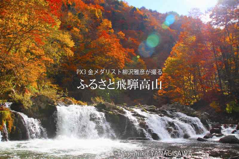 飛騨高山の紅葉　撮影・柳沢雅彦