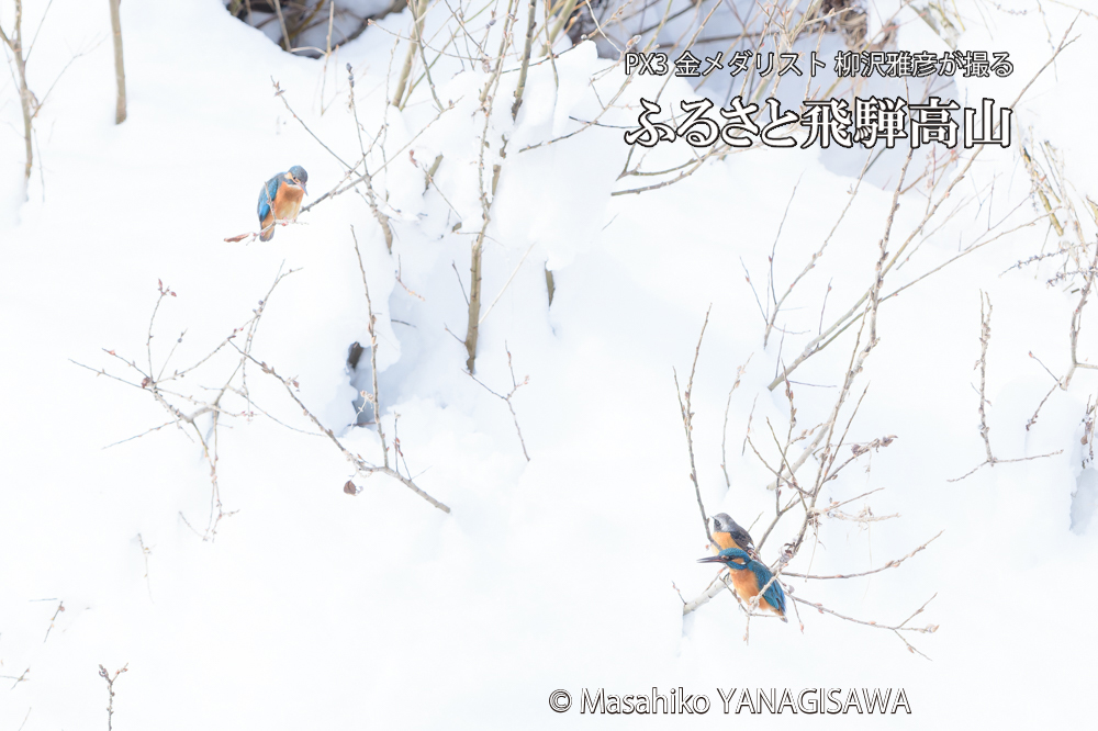 　撮影・柳沢雅彦