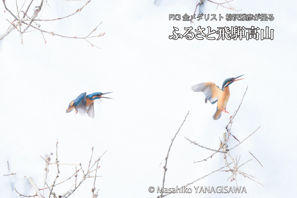 　撮影・柳沢雅彦