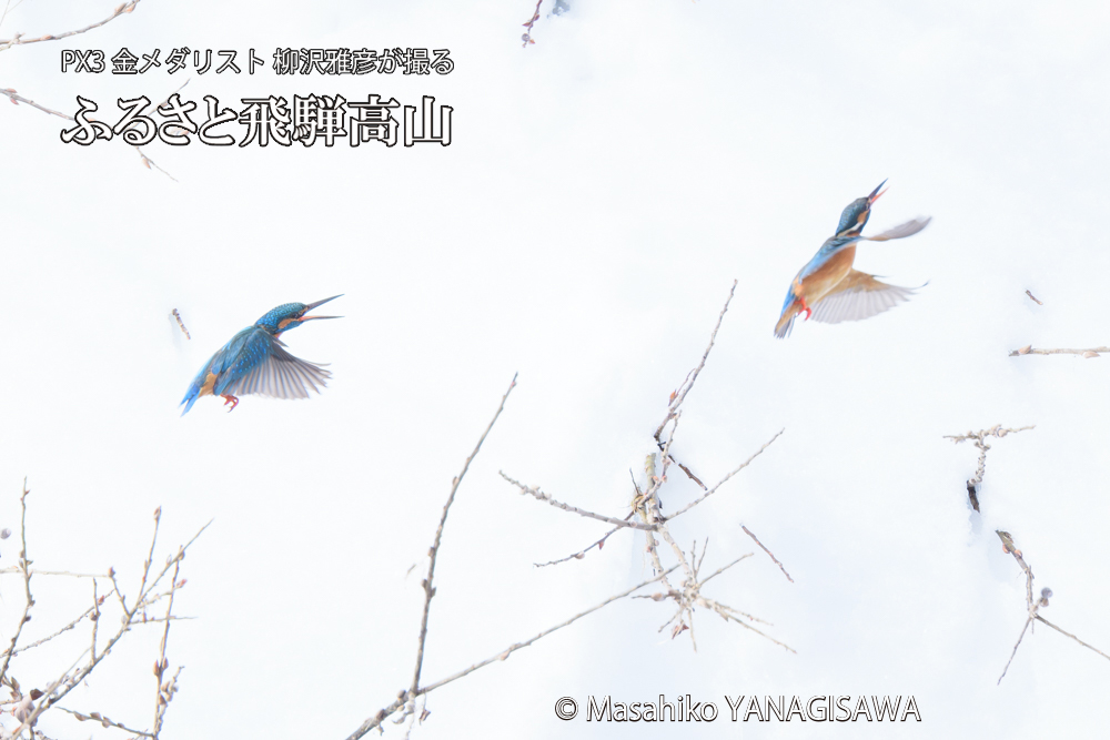 　撮影・柳沢雅彦