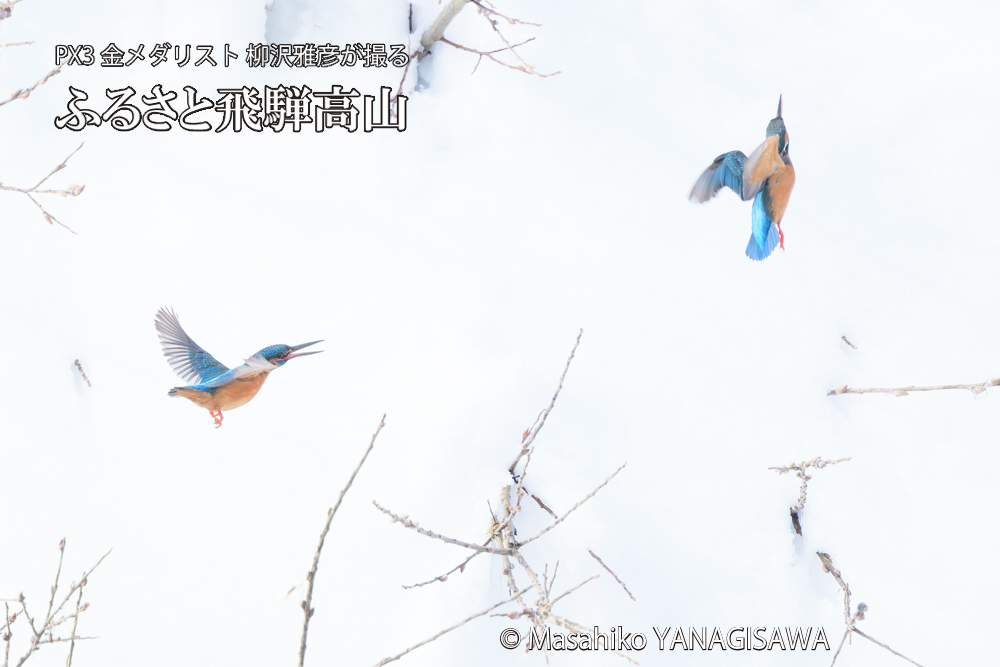 　撮影・柳沢雅彦