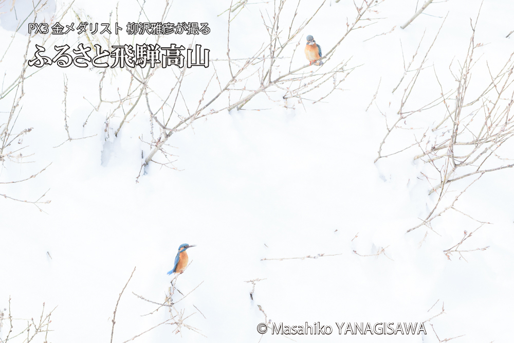 　撮影・柳沢雅彦