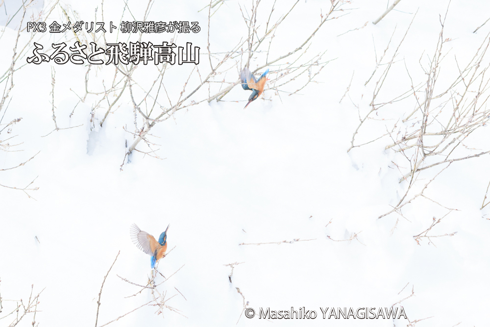 　撮影・柳沢雅彦