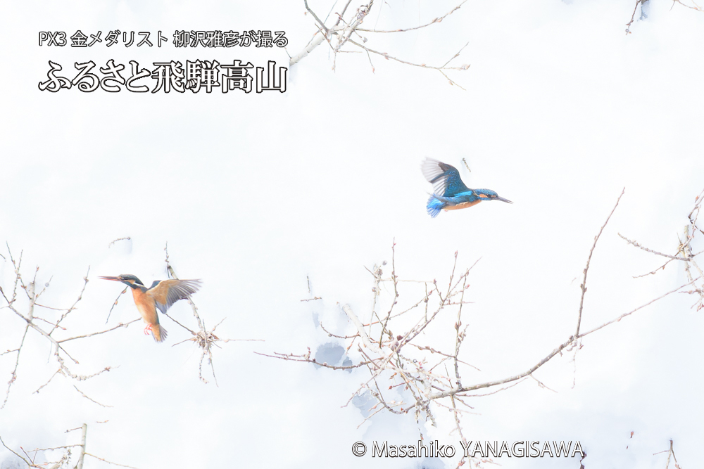 　撮影・柳沢雅彦