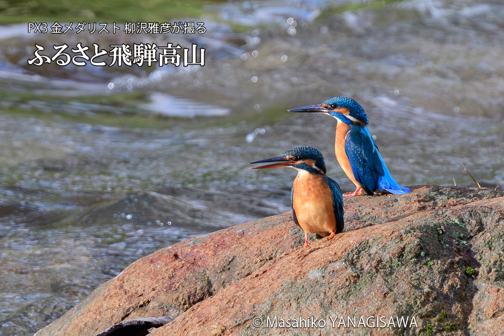 　撮影・柳沢雅彦
