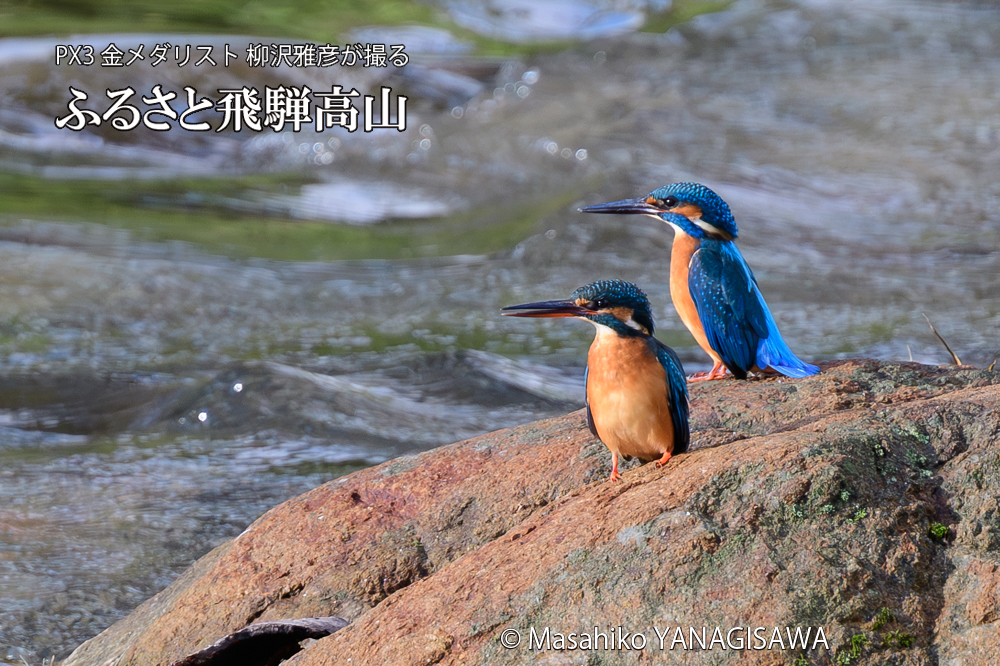 　撮影・柳沢雅彦