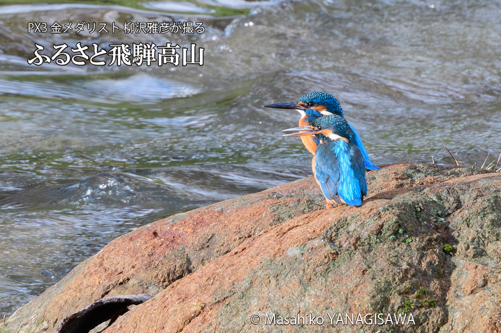 　撮影・柳沢雅彦