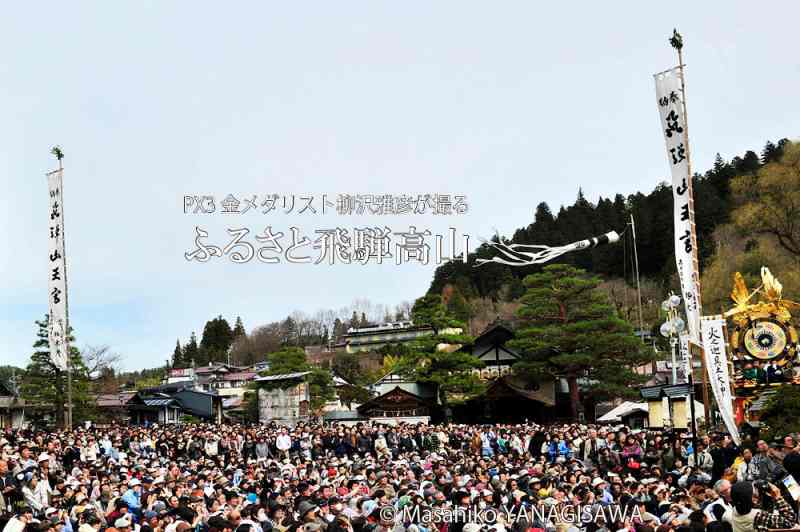 春の高山祭（山王祭）の観光写真です　撮影・柳沢雅彦