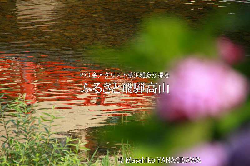 夏の飛騨高山(中橋周辺の水面)　撮影・柳沢雅彦