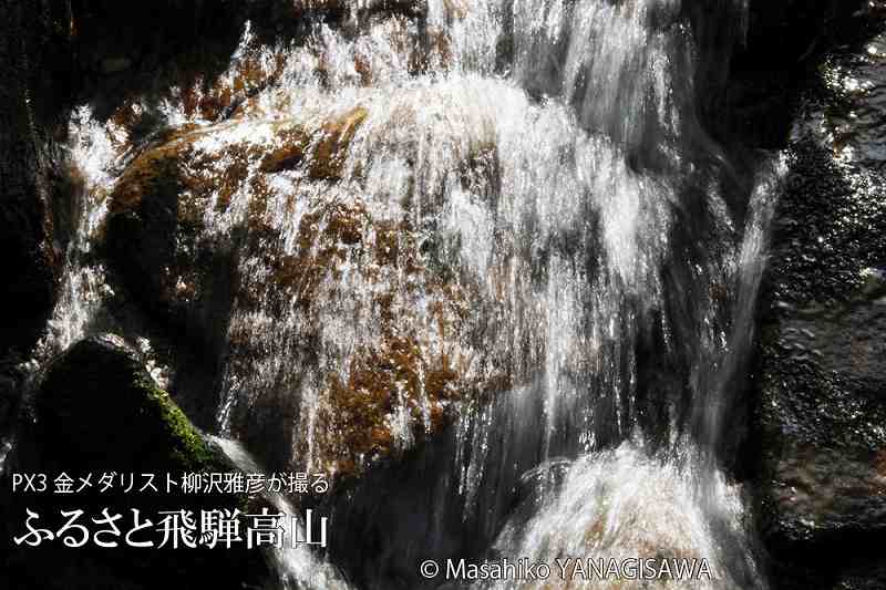 夏の飛騨高山　撮影・柳沢雅彦