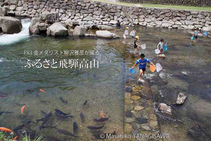 夏の飛騨高山(宮川で遊ぶ子どもたち)　撮影・柳沢雅彦