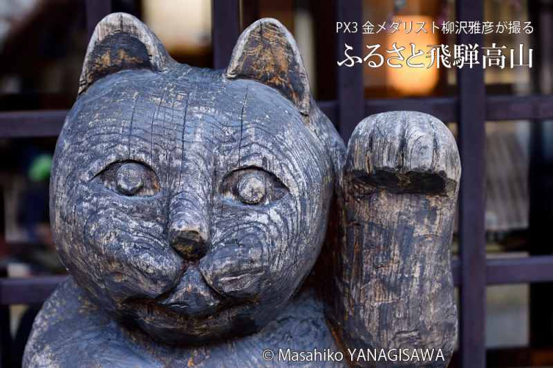 晩夏の飛騨高山(古い町並み、招き猫)　撮影・柳沢雅彦