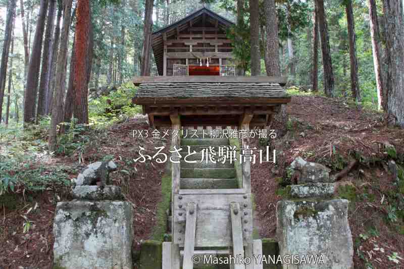 晩夏の飛騨高山(匠神社)　撮影・柳沢雅彦