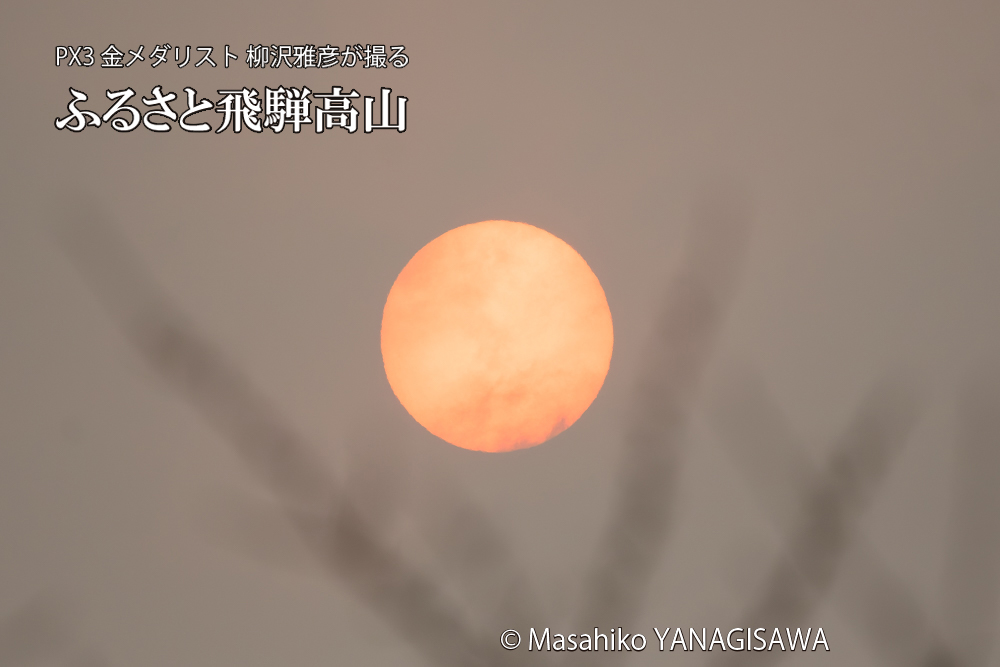 黄砂の影響で赤く染まる太陽の写真です。